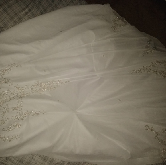 David's Bridal Wedding Dress - Picture 8 of 8